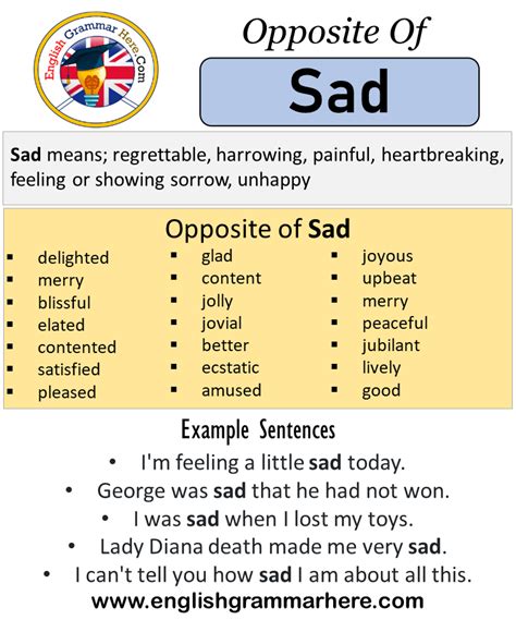 sad antonym|word for sad and serious.